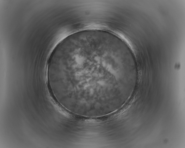 X0000095511227200712141416