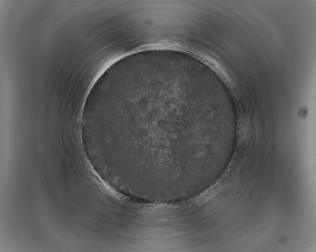 X0000095511228200712141416