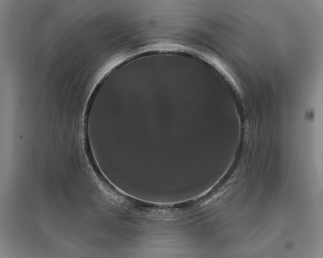 X0000095511229200712141416