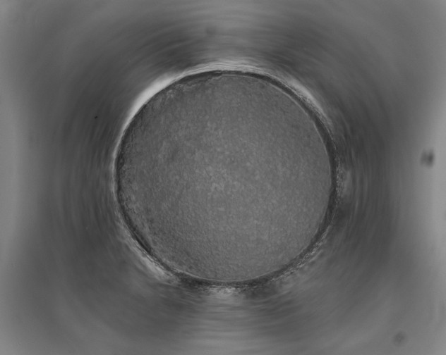 X0000095511230200712141416