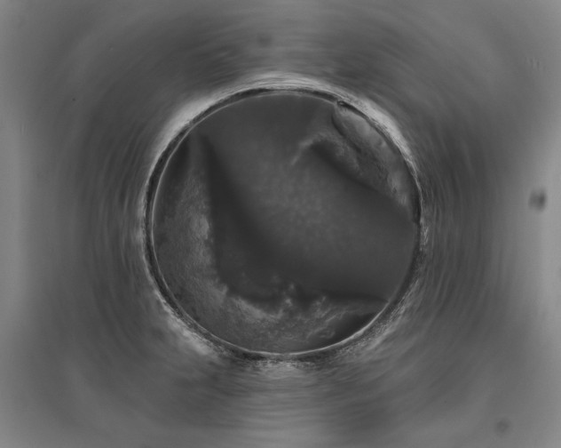 X0000095511231200712141416