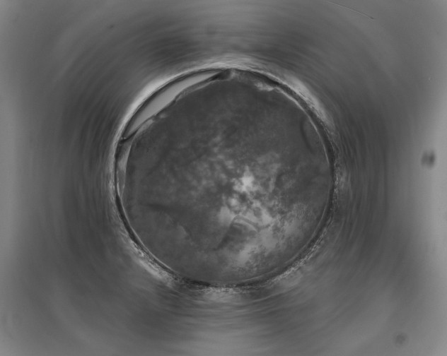 X0000095511232200712141416