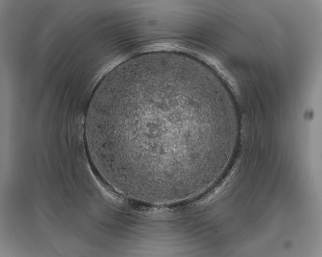 X0000095511233200712141416