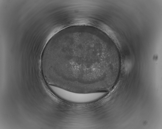 X0000095511234200712141416