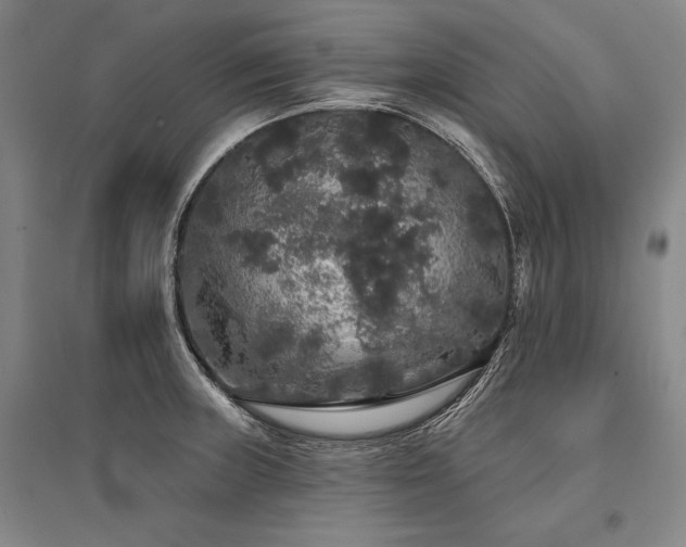 X0000095511235200712141416