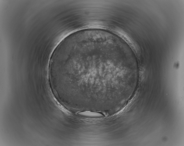 X0000095511236200712141416