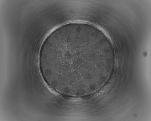 X0000095511237200712141416