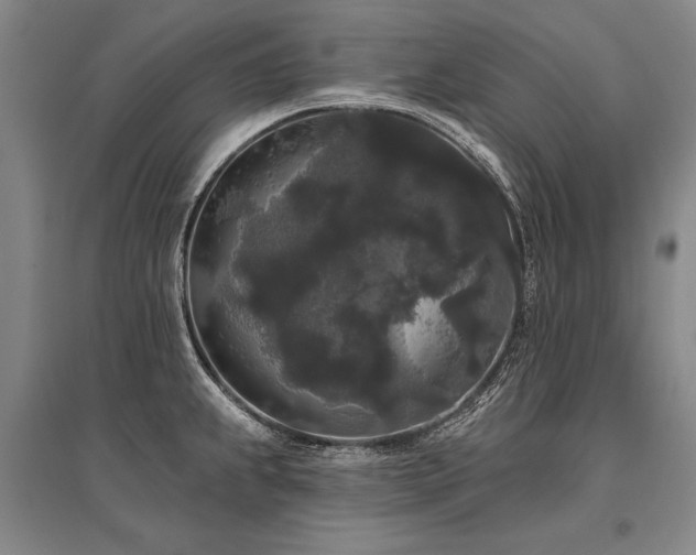 X0000095511239200712141416