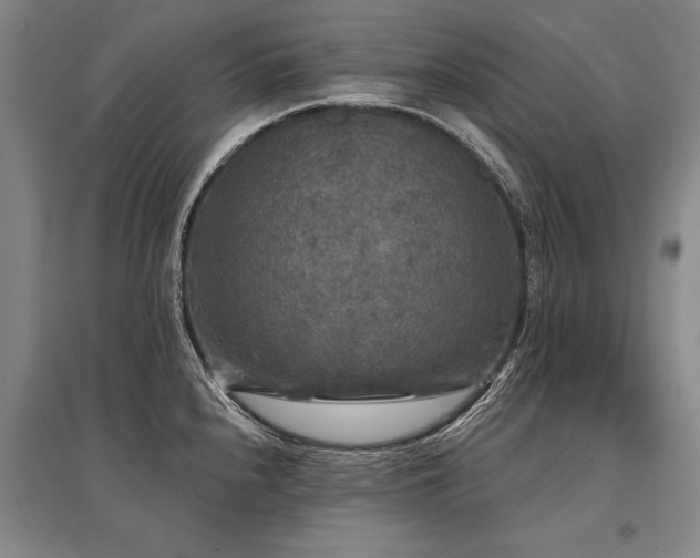 X0000095511240200712141416