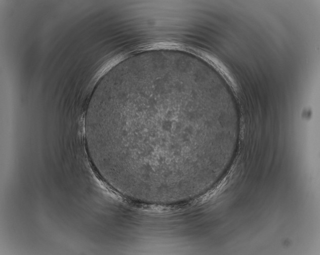 X0000095511241200712141416