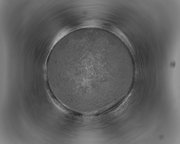 X0000095511242200712141416
