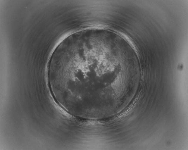 X0000095511243200712141416