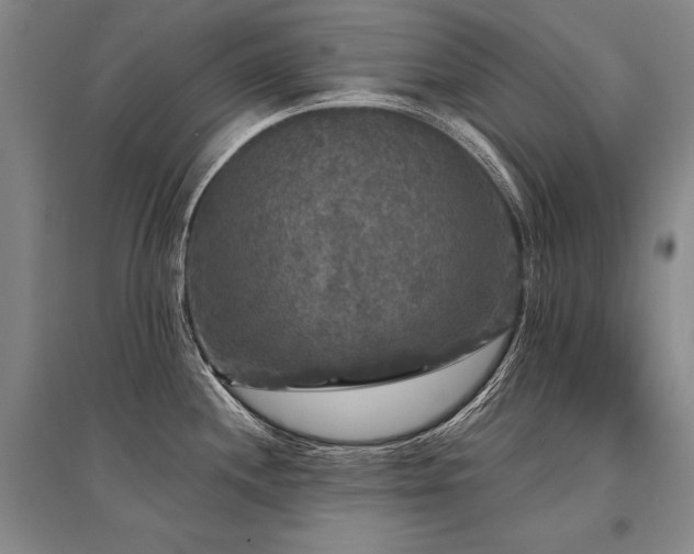 X0000095511244200712141416