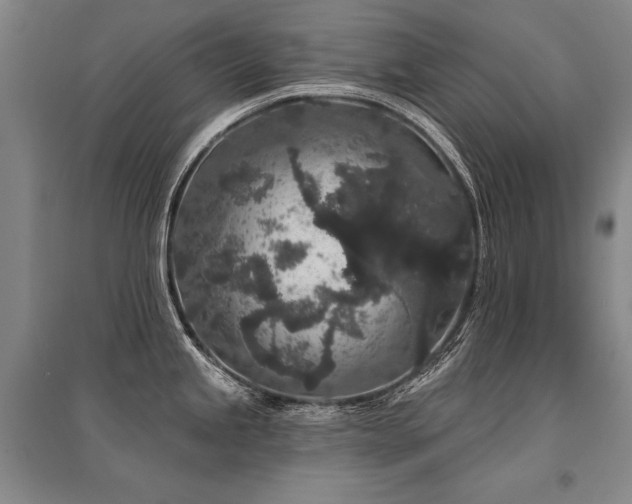 X0000095511245200712141416
