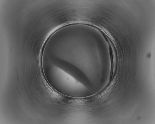 X0000095511246200712141416