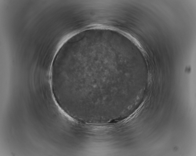 X0000095511247200712141416