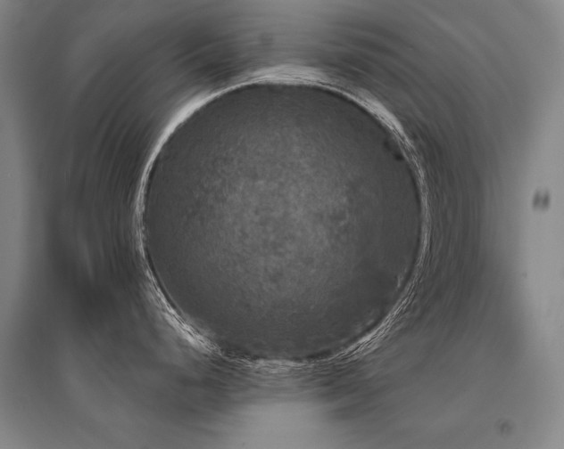 X0000095511248200712141416