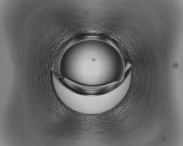 X0000095511249200712141415