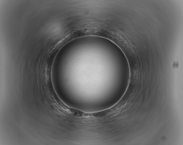 X0000095511250200712141415