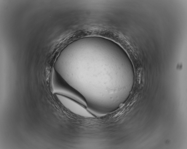 X0000095511253200712141415
