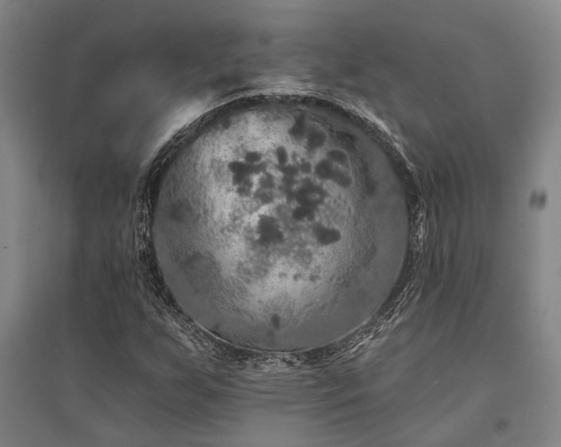 X0000095511255200712141415