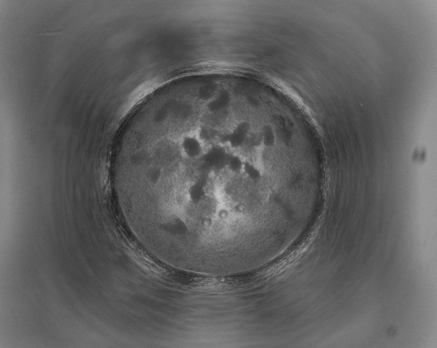 X0000095511259200712141415