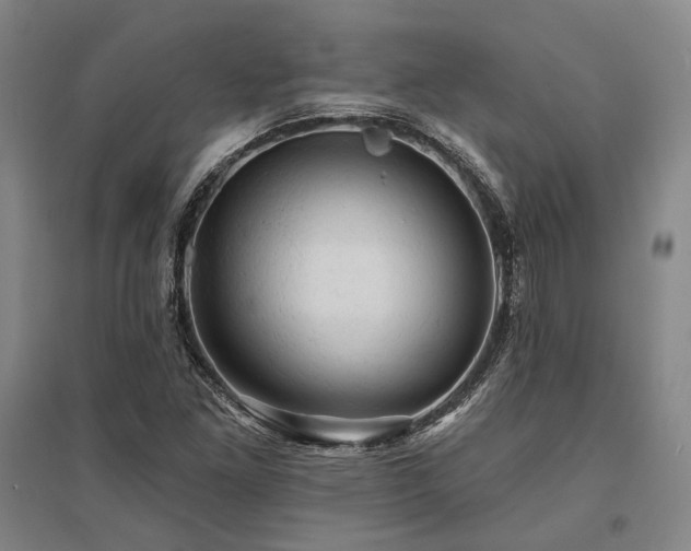 X0000095511261200712141415