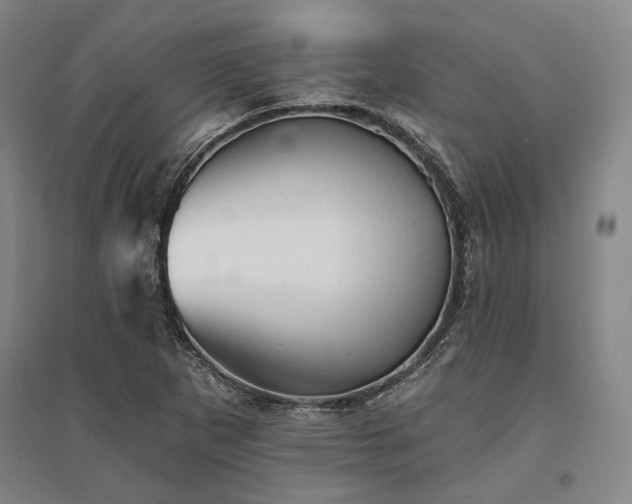 X0000095511265200712141415