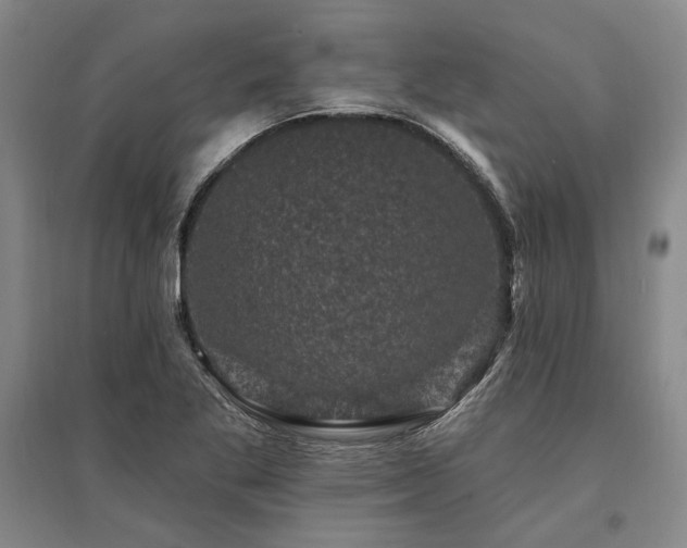 X0000095511269200712141415