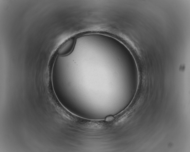 X0000095511270200712141415