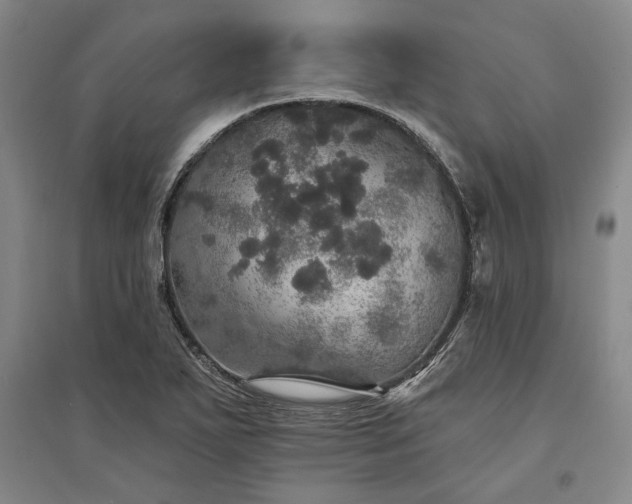 X0000095511271200712141415