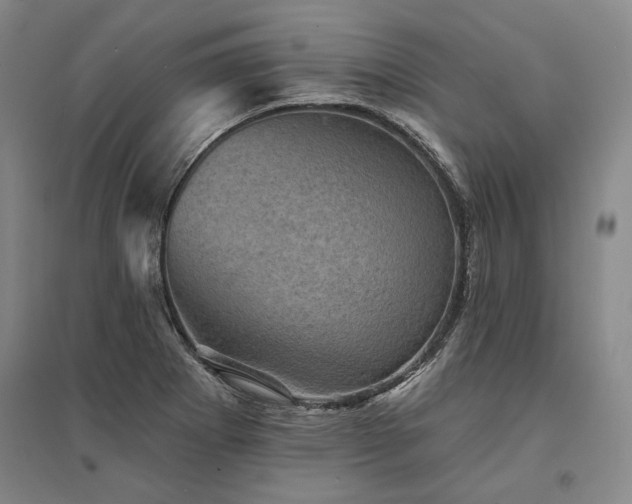 X0000095511273200712141415