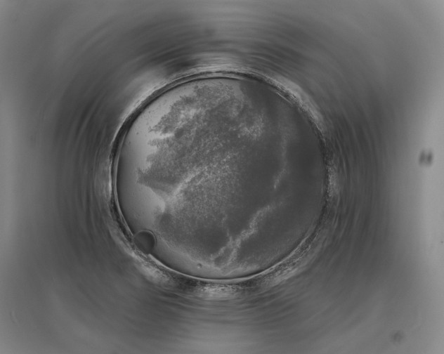 X0000095511274200712141415