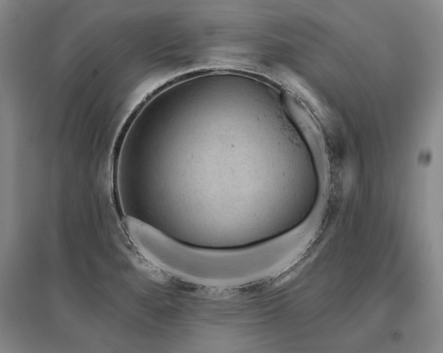 X0000095511280200712141415