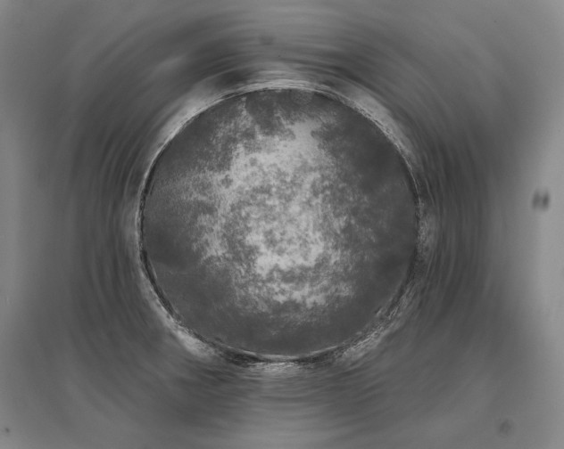 X0000095511282200712141415
