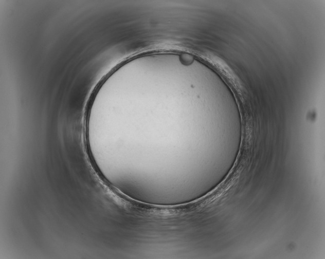 X0000095511286200712141415