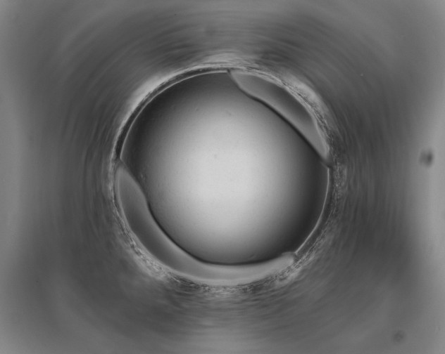 X0000095511288200712141415