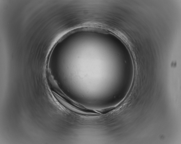 X0000095511296200712141415