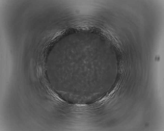 X0000095511297200712141414