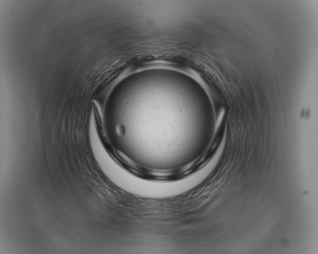 X0000095511298200712141414