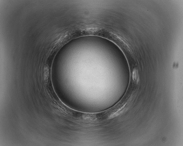 X0000095511299200712141414