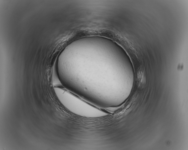 X0000095511300200712141414