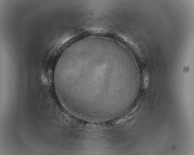 X0000095511301200712141414