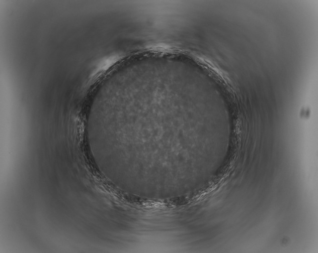 X0000095511302200712141414