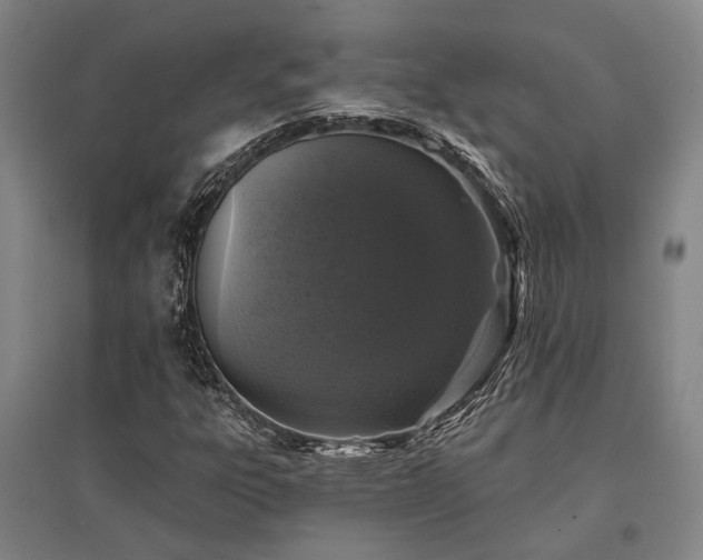 X0000095511303200712141414