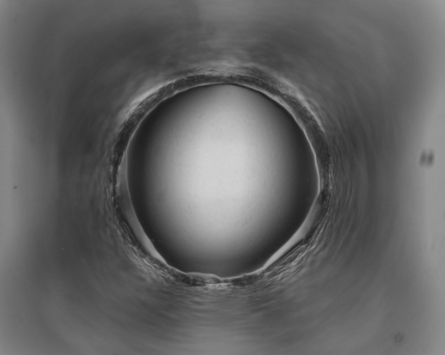 X0000095511304200712141414