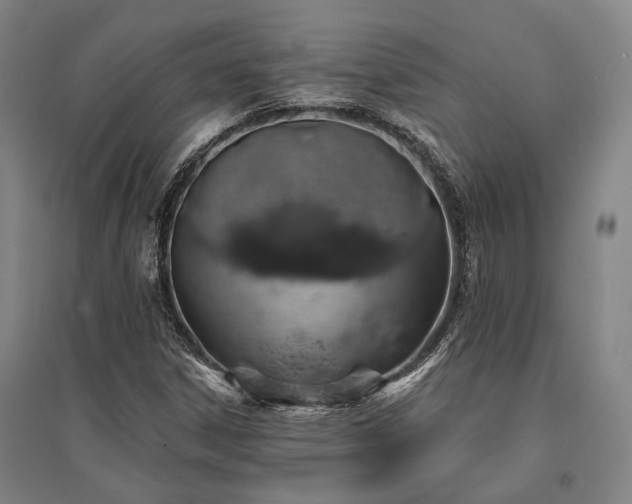 X0000095511306200712141414