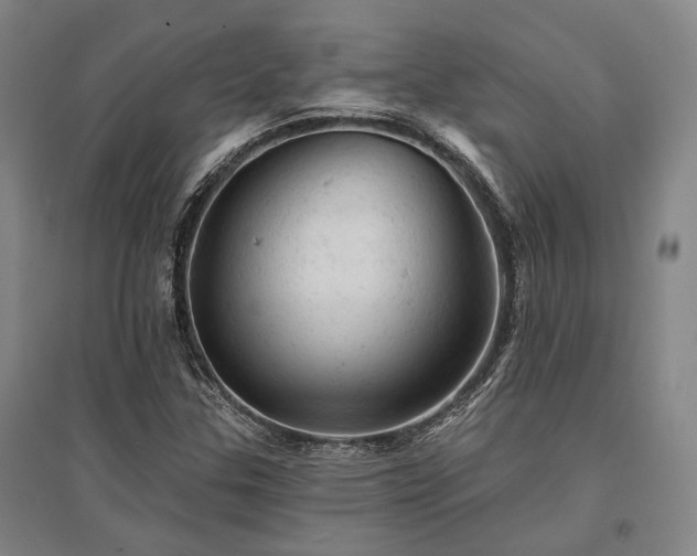 X0000095511307200712141414