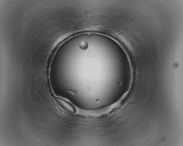 X0000095511308200712141414