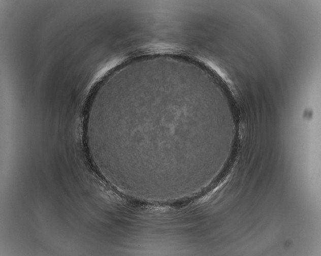 X0000095511309200712141414